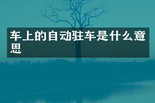 车上的自动驻车是什么意思