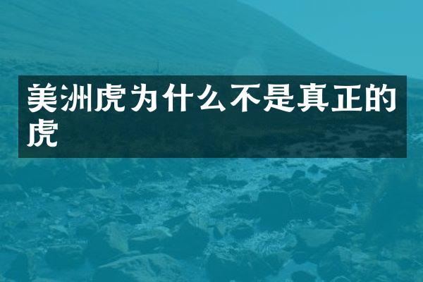 美洲虎为什么不是真正的虎