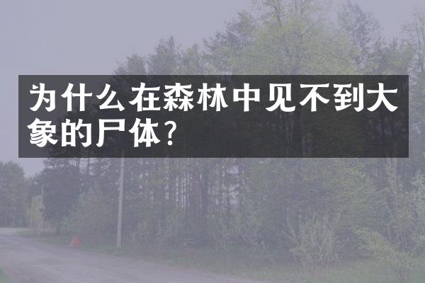 为什么在森林中见不到大象的尸体?