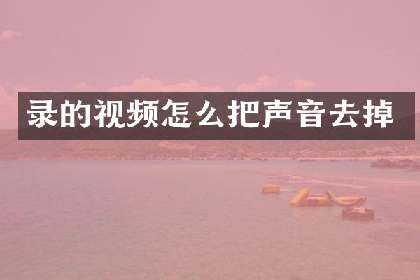 录的视频怎么把声音去掉
