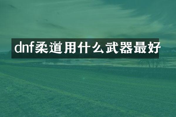 dnf柔道用什么武器最好