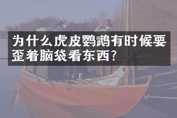 为什么虎皮鹦鹉有时候要歪着脑袋看东西?