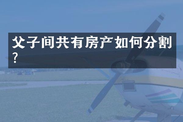 父子间共有房产如何分割?