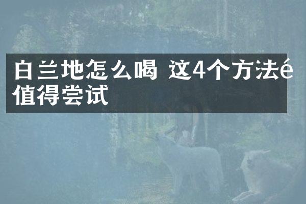 白兰地怎么喝 这4个方法都值得尝试