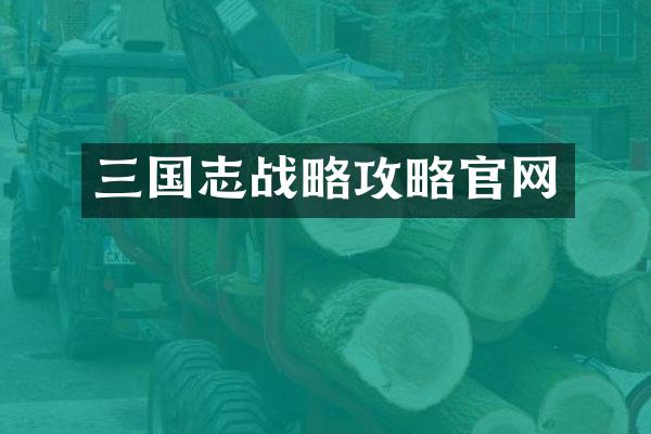 三国志战略攻略官网