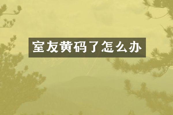 室友黄码了怎么办