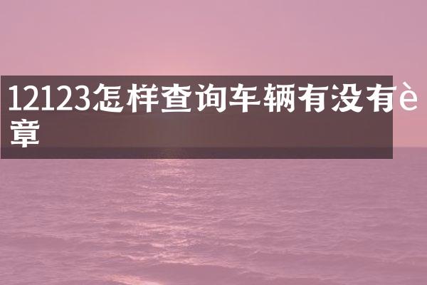 12123怎样查询车辆有没有违章