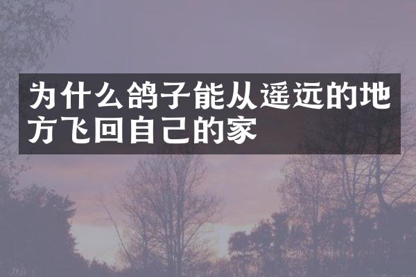 为什么鸽子能从遥远的地方飞回自己的家