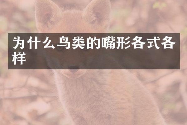 为什么鸟类的嘴形各式各样