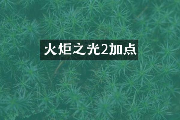 火炬之光2加点