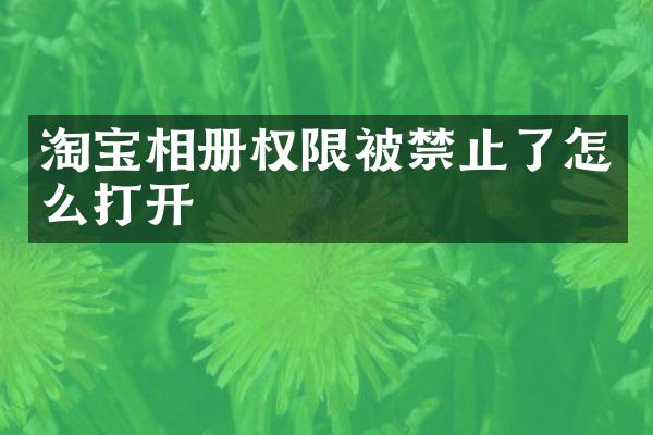 淘宝相册权限被禁止了怎么打开