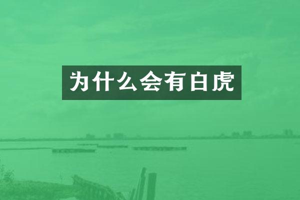 为什么会有白虎