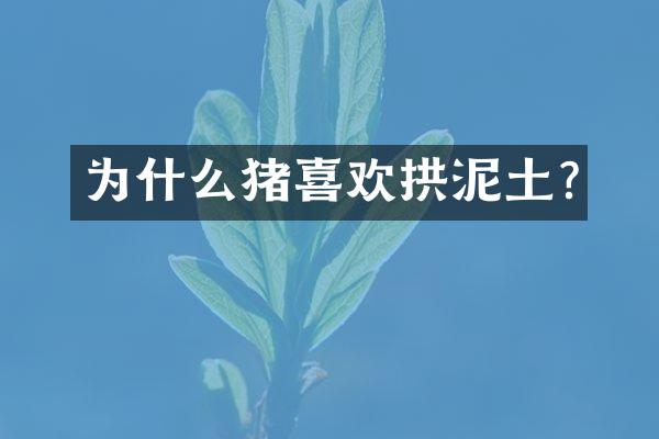 为什么猪喜欢拱泥土?