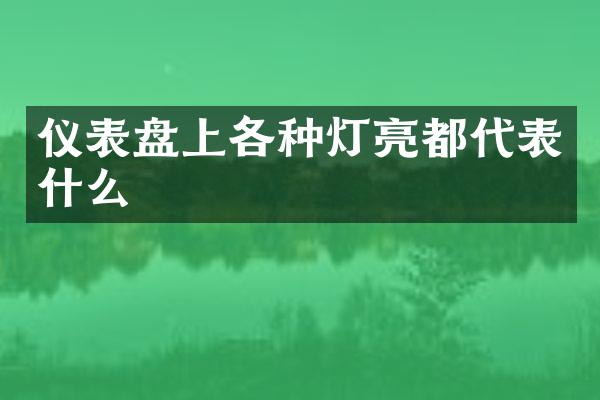仪表盘上各种灯亮都代表什么