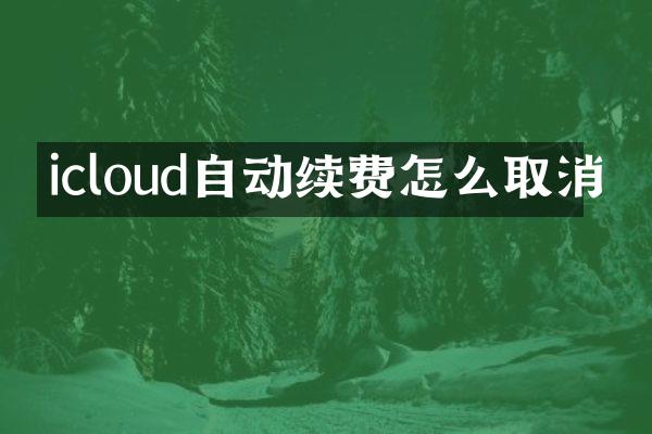 icloud自动续费怎么取消
