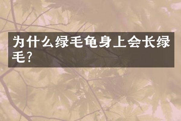 为什么绿毛龟身上会长绿毛?