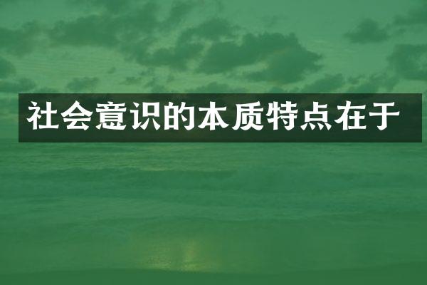社会意识的本质特点在于