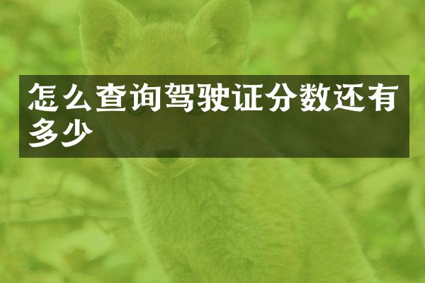 怎么查询驾驶证分数还有多少