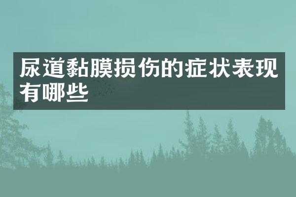 尿道黏膜损伤的症状表现有哪些