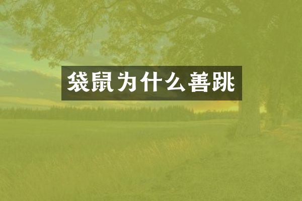 袋鼠为什么善跳