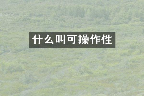 什么叫可操作性