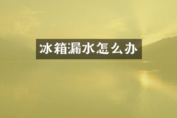 冰箱漏水怎么办