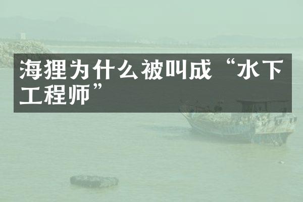 海狸为什么被叫成“水下工程师”