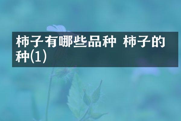 柿子有哪些品种 柿子的品种(1)