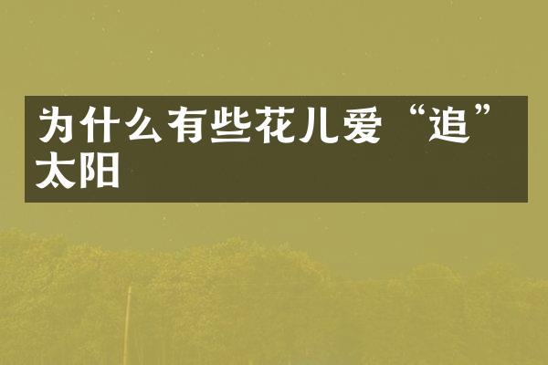 为什么有些花儿爱“追”太阳