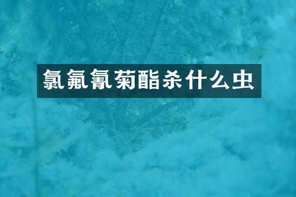 氯氟氰菊酯杀什么虫