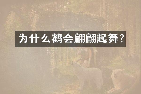 为什么鹤会翩翩起舞?