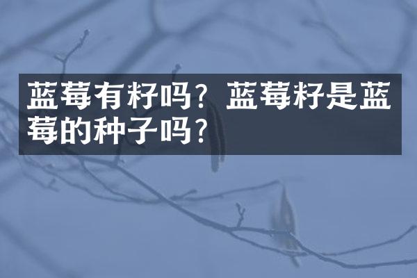 蓝莓有籽吗？蓝莓籽是蓝莓的种子吗？