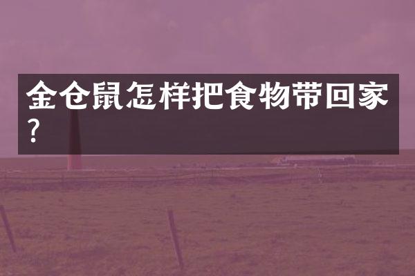 金仓鼠怎样把食物带回家?