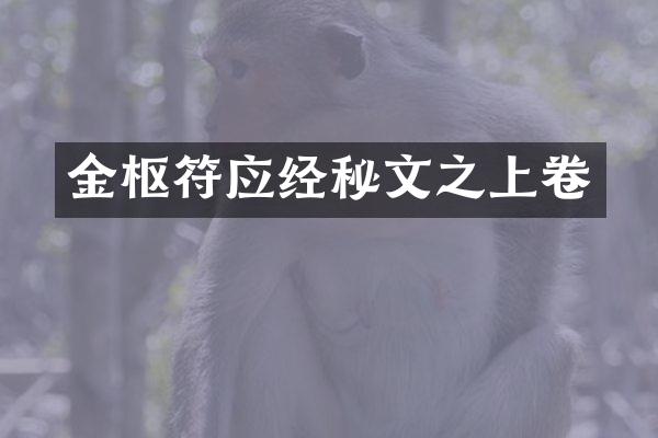 金枢符应经秘文之上卷