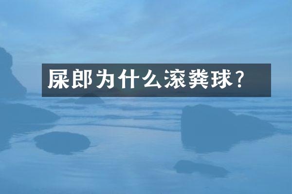 屎売郎为什么滚粪球?