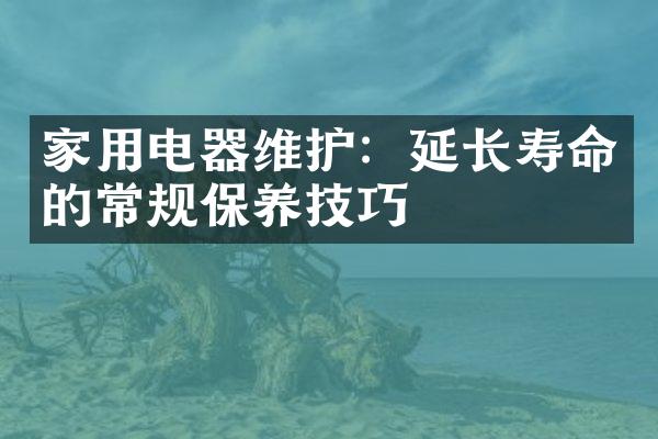家用电器维护：延长寿命的常规保养技巧