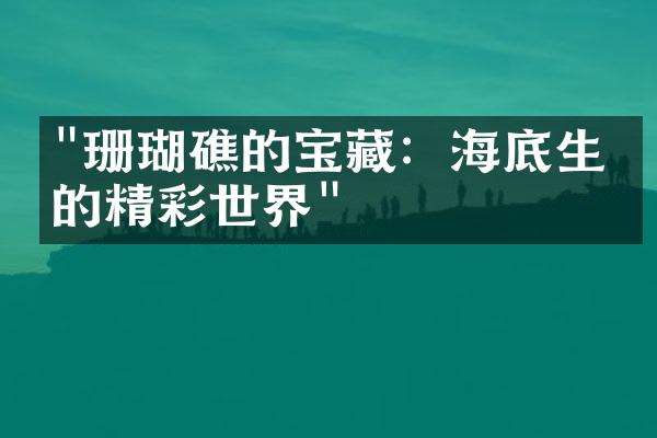 "珊瑚礁的宝藏：海底生物的精彩世界"
