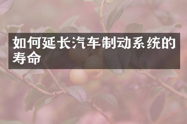 如何延长汽车制动系统的寿命