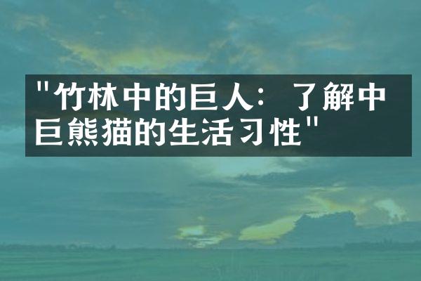 "竹林中的巨人：了解中国巨熊猫的生活习性"