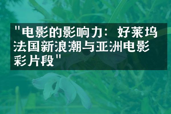 "电影的影响力：好莱坞、法国新浪潮与亚洲电影精彩片段"