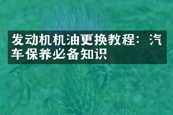发动机机油更换教程：汽车保养必备知识