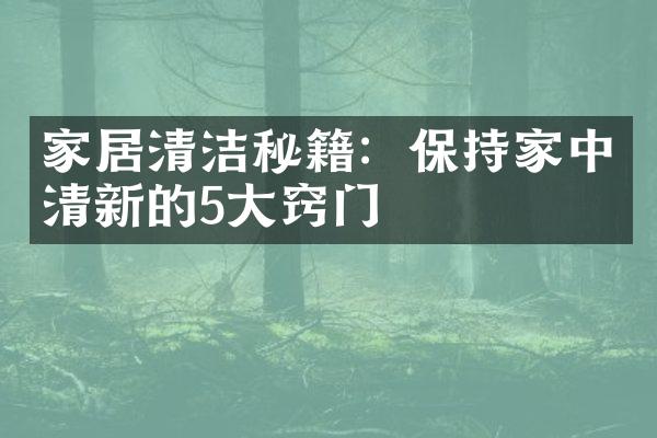 家居清洁秘籍：保持家中清新的5大窍门