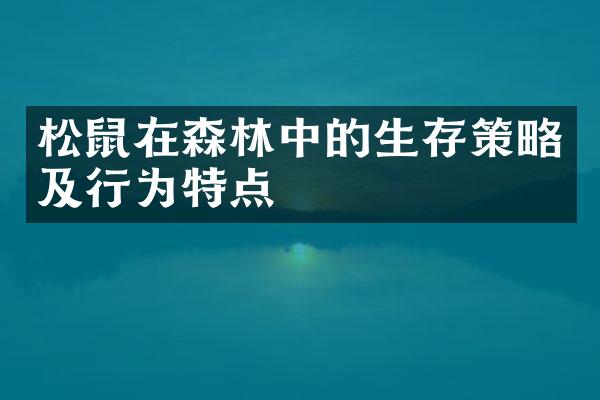 松鼠在森林中的生存策略及行为特点