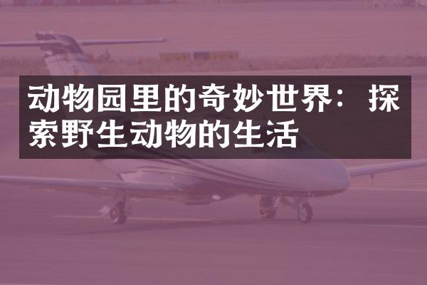 动物园里的奇妙世界：探索野生动物的生活
