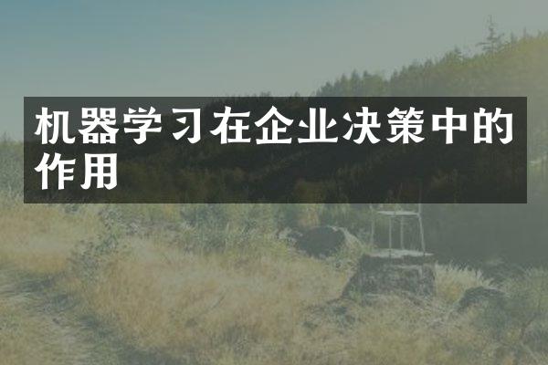 机器学习在企业决策中的作用