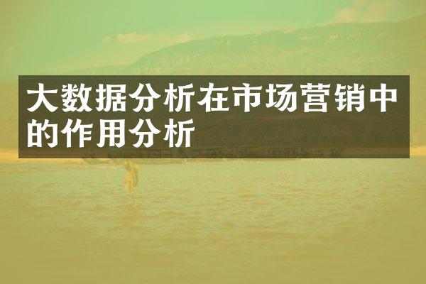 大数据分析在市场营销中的作用分析