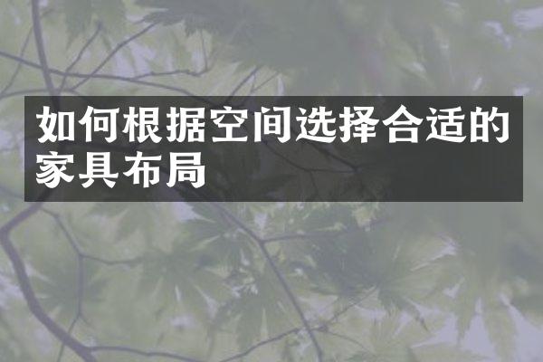 如何根据空间选择合适的家具布局