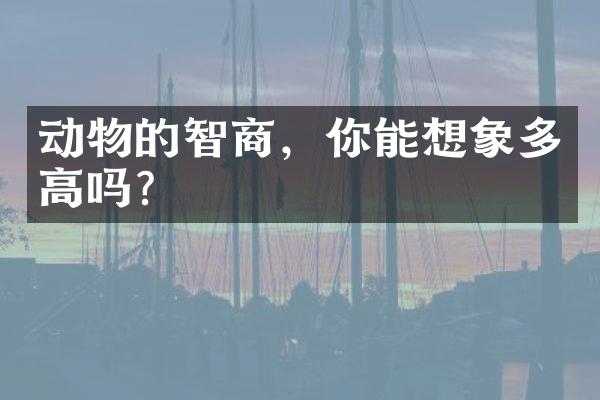 动物的智商，你能想象多高吗？