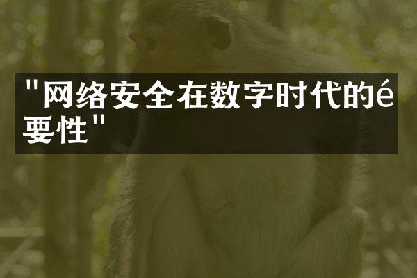 "网络安全在数字时代的重要性"