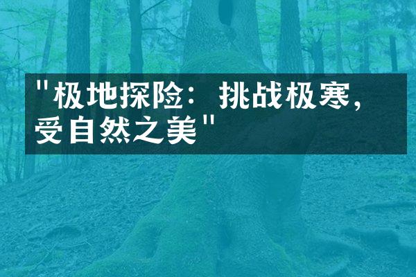 "极地探险：挑战极寒，感受自然之美"